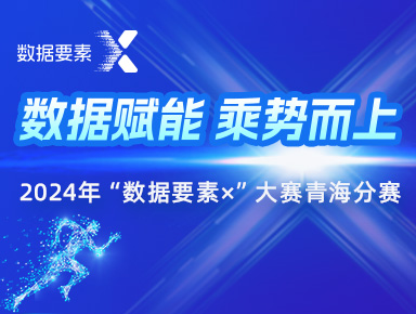 20个，2024年度福建数据要素应用优秀案例公布